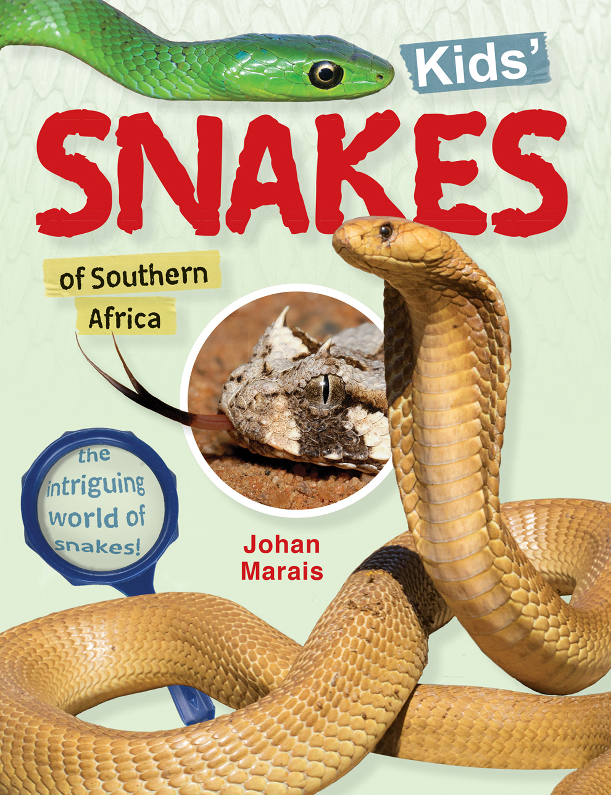 Picture of Kids' snakes of Southern Africa