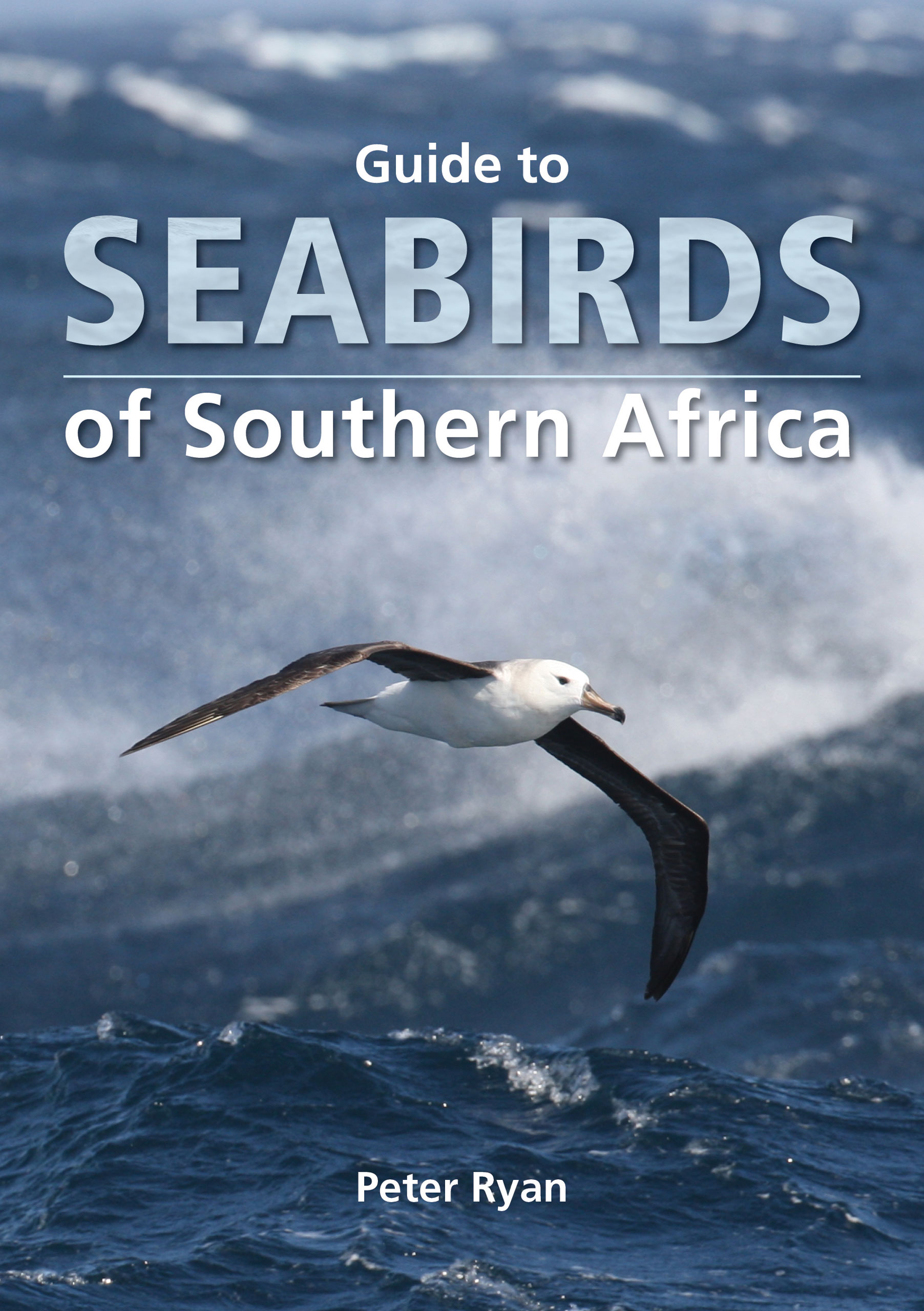 Picture of Guide to Seabirds of Southern Africa