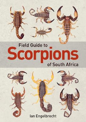 Field Guide to Scorpions of South Africa