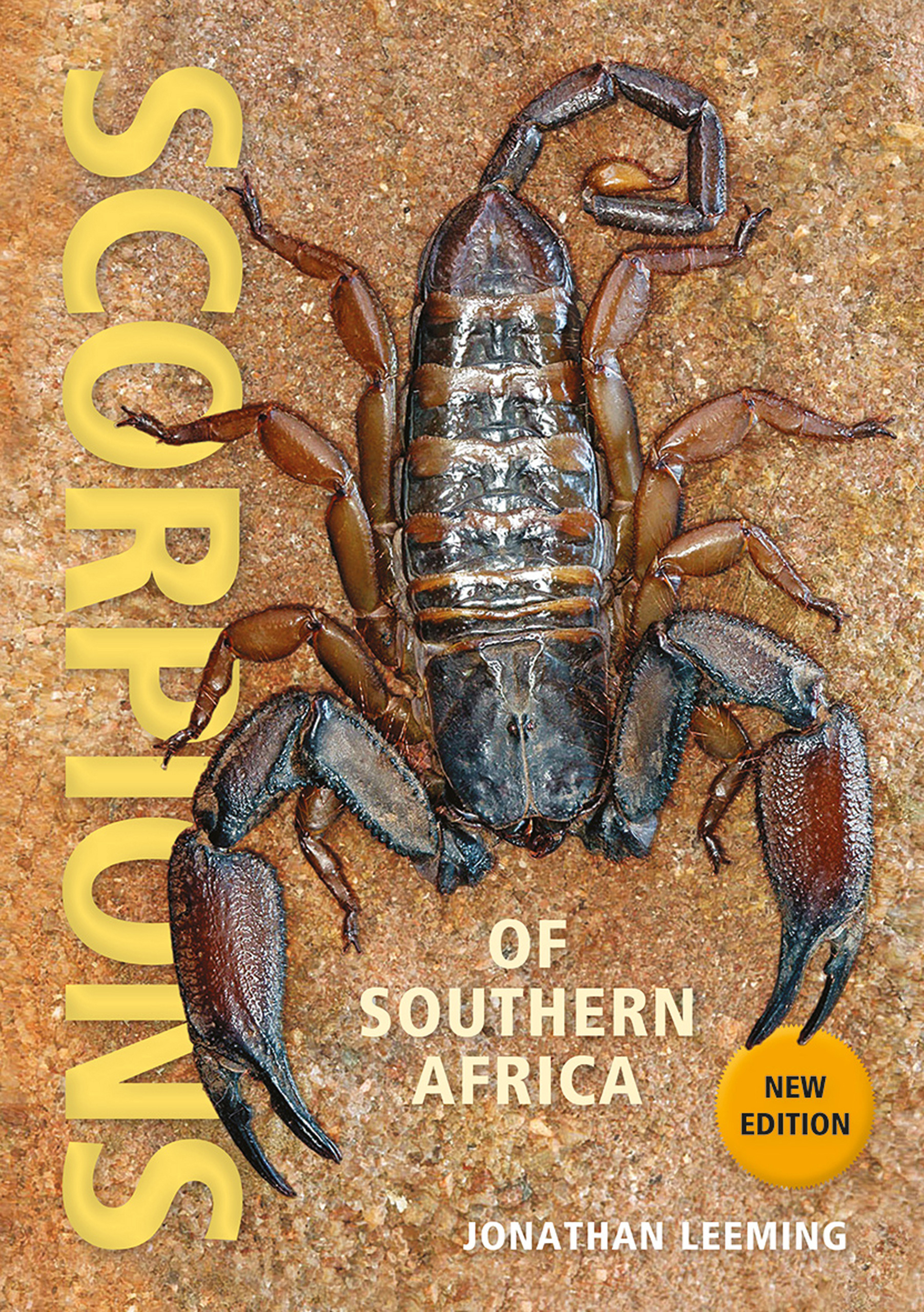 Picture of Scorpions of Southern Africa