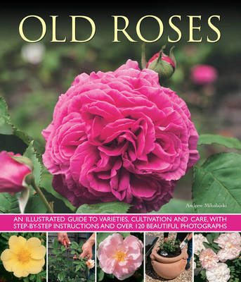 Picture of Old Roses: an Illustrated Guide to Varieties, Cultivation and Care, with Step-by-step Instructions and Over 120 Beautiful Photographs
