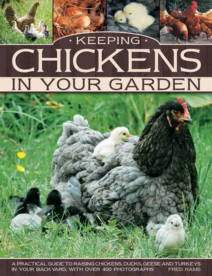 Picture of Keeping Chickens in Your Garden