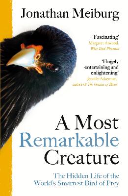 Picture of A Most Remarkable Creature : The Hidden Life of the World's Smartest Bird of Prey