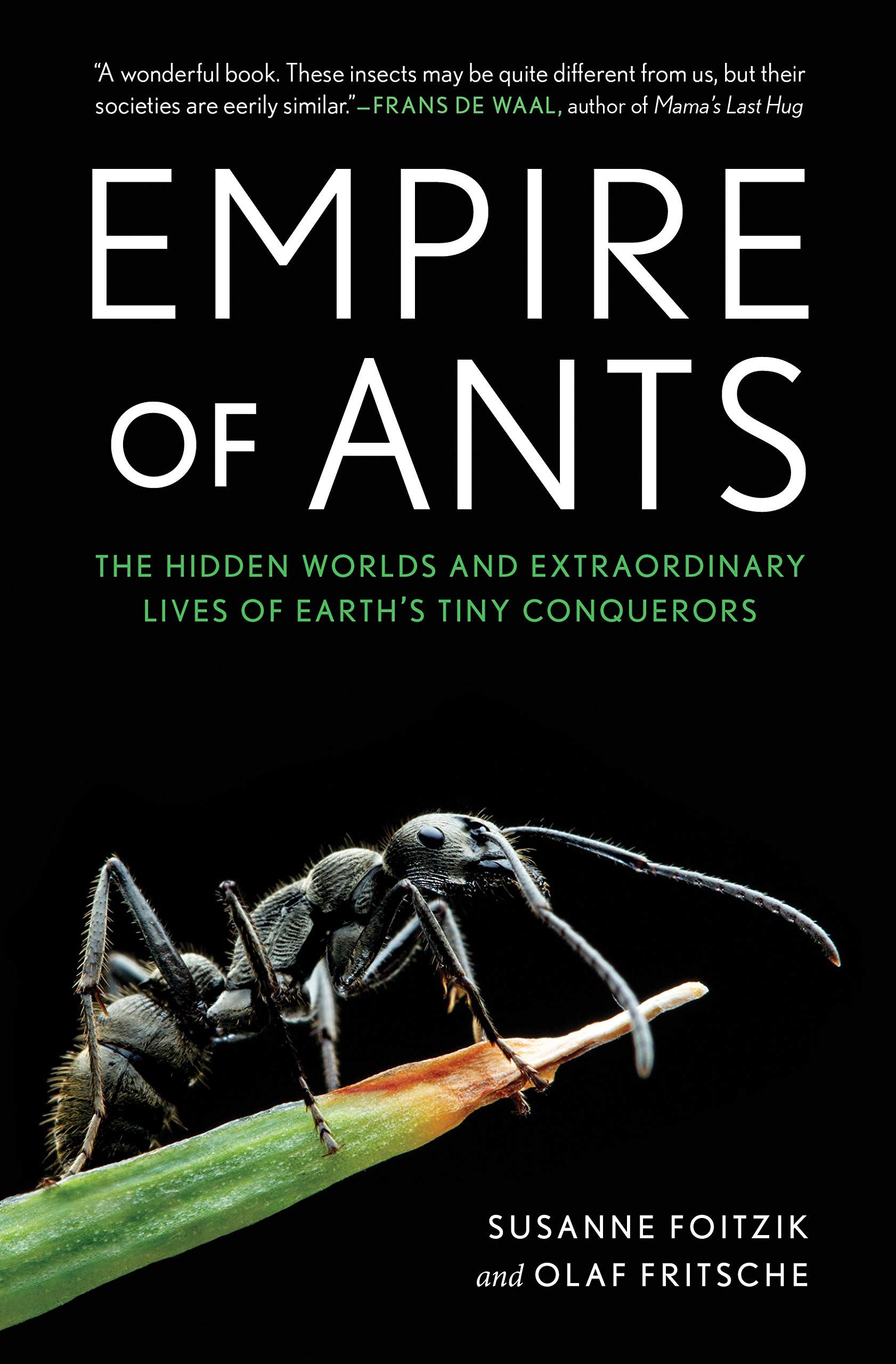 Empire of Ants : The hidden worlds and extraordinary lives of Earth's tiny conquerors