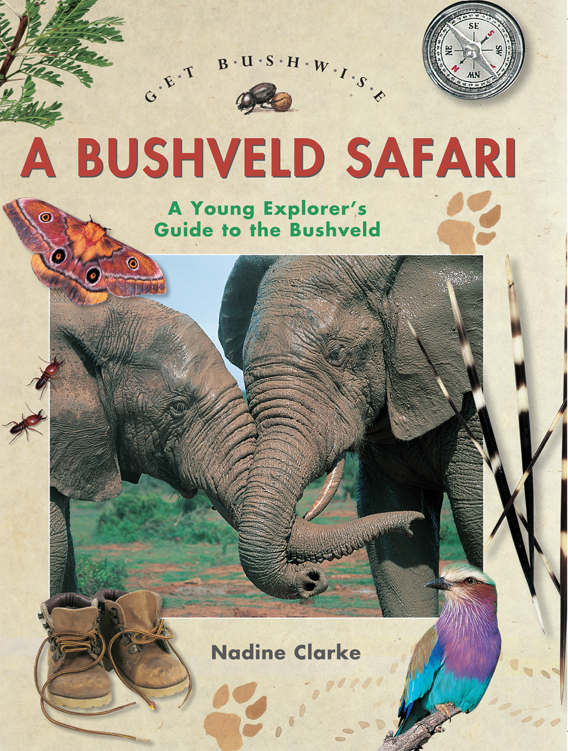 Picture of A get bushwise: A bushveld Safari