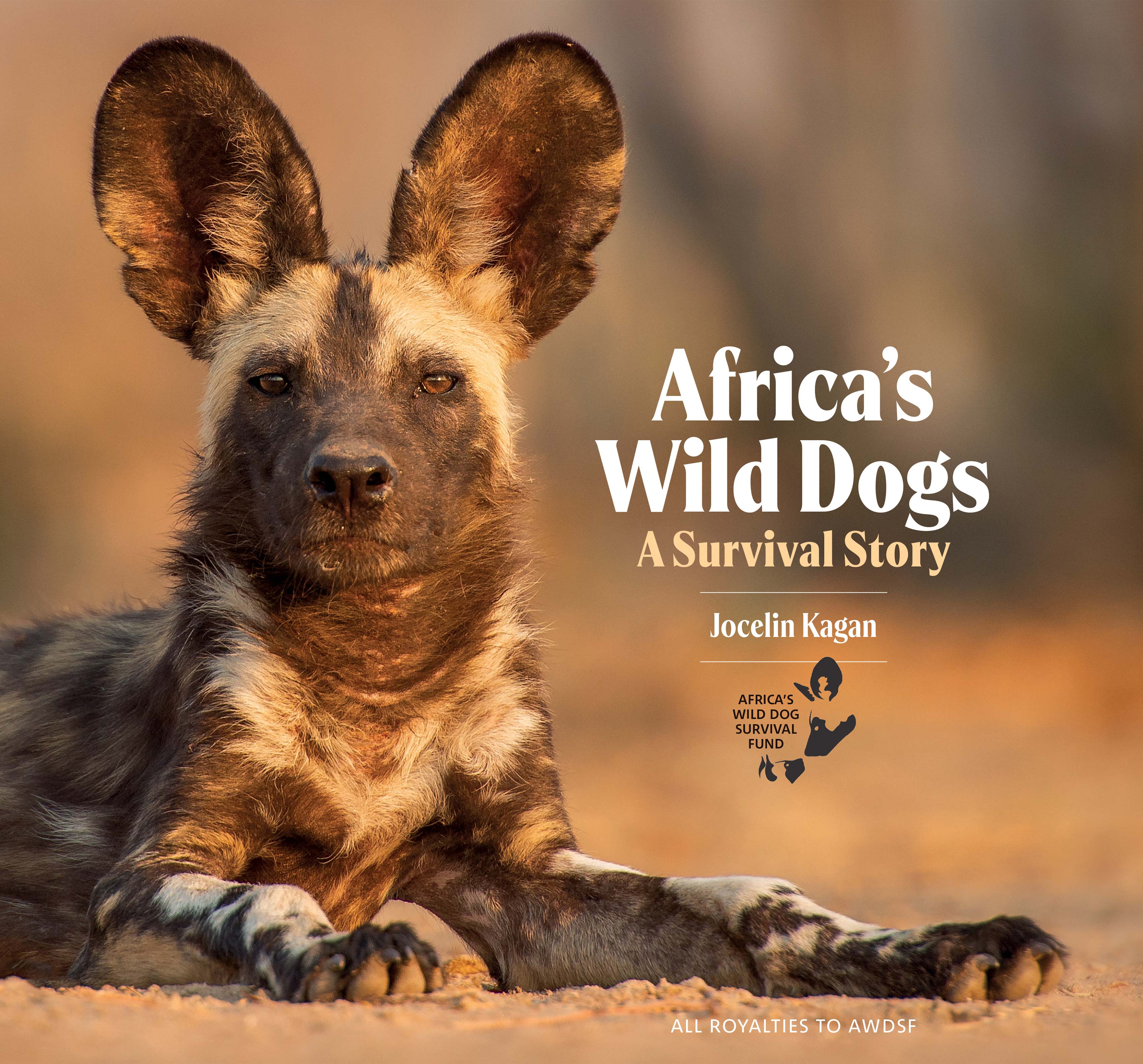 Picture of Africa's Wild Dogs : A survival story
