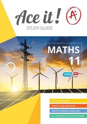 Picture of Ace It! Mathematics