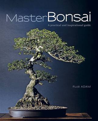 Picture of Master bonsai