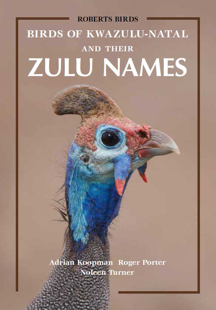 Picture of Birds of KwaZulu-Natal and Their Zulu Names