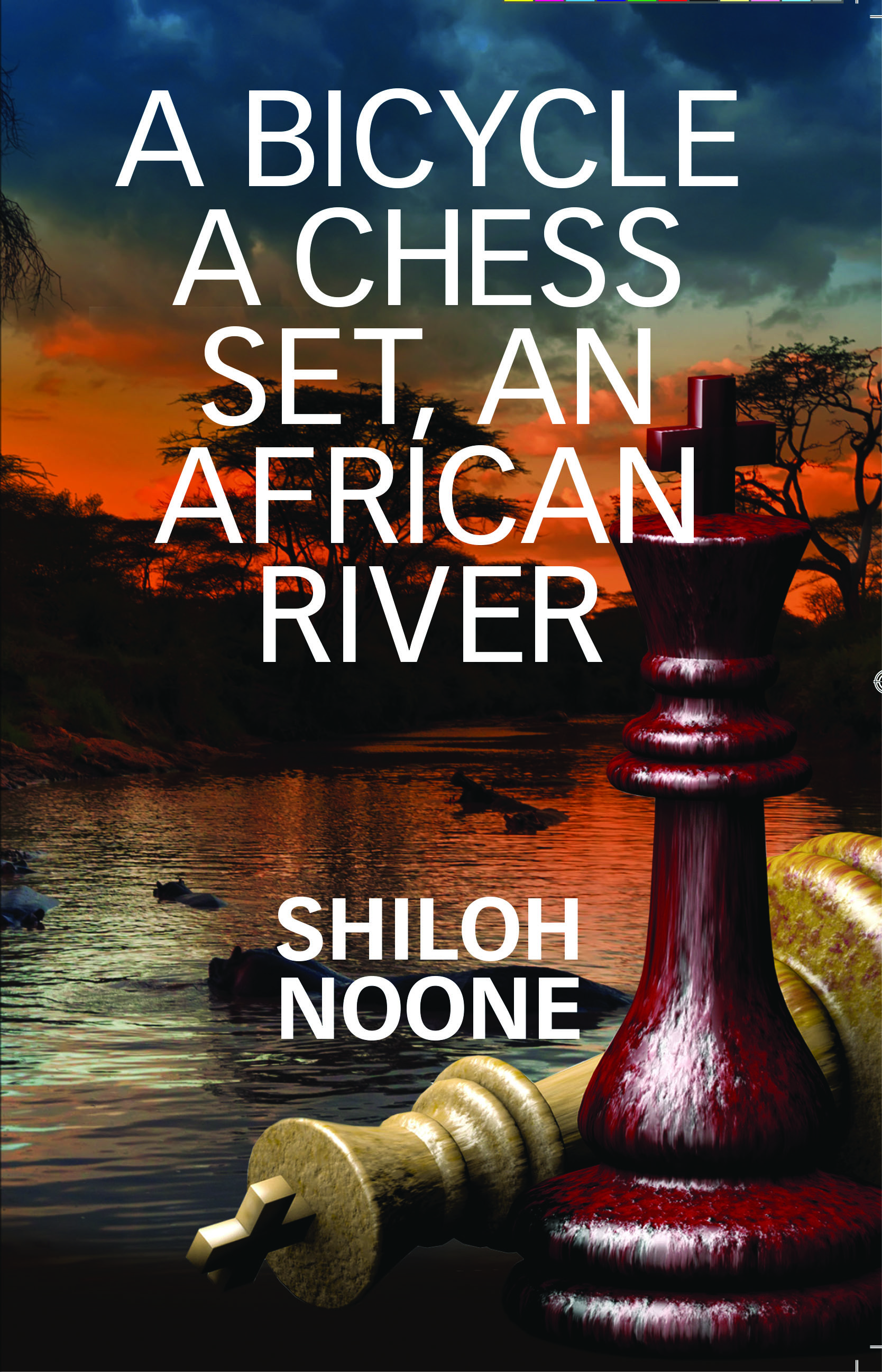 Picture of A Bicycle, A Chess Set, an African River