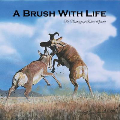 Picture of A Brush With Life : The Paintings of Bruce Speidel